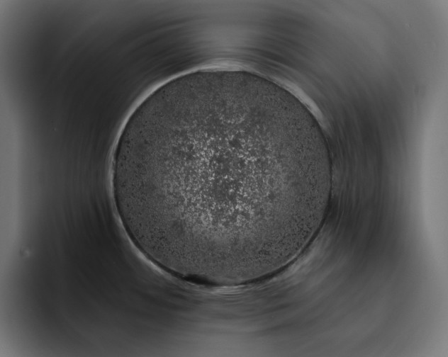 X0000093131484200710101050