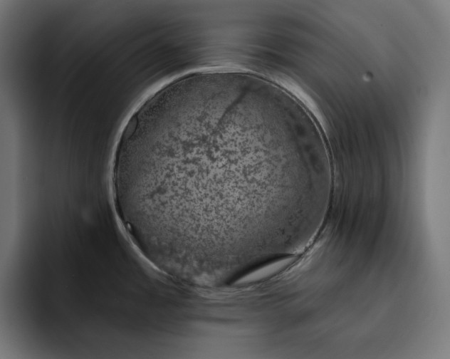 X0000093131485200710101050