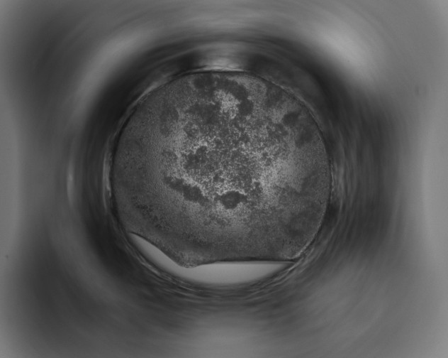 X0000093131487200710101050