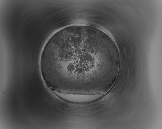 X0000093131488200710101050