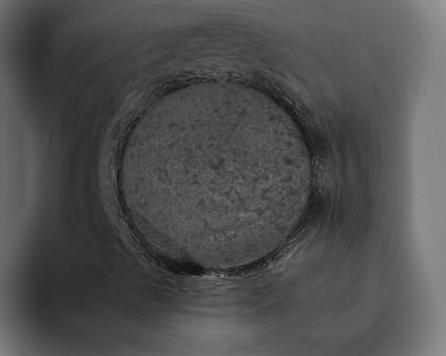 X0000093131489200710101049