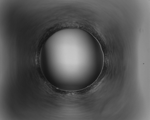 X0000093131490200710101049