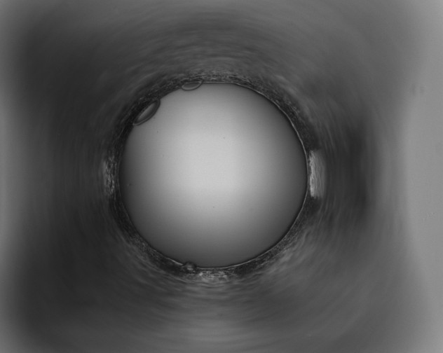 X0000093131491200710101049