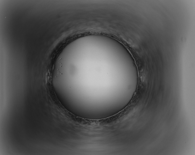 X0000093131495200710101049