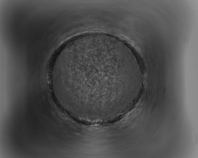 X0000093131496200710101049