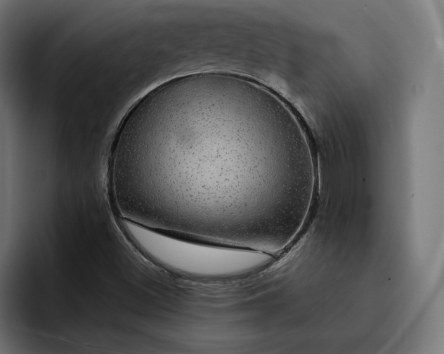 X0000093131500200710101049