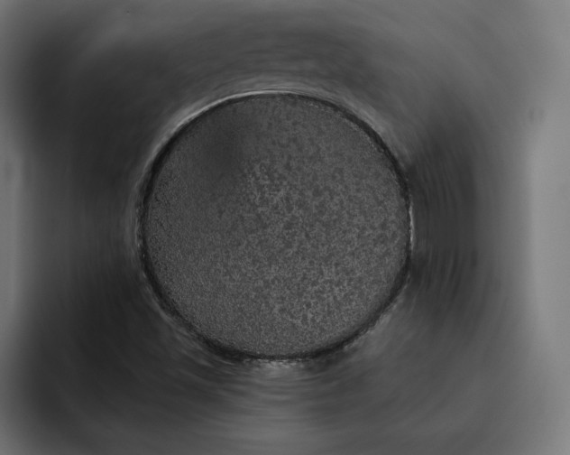 X0000093131501200710101049