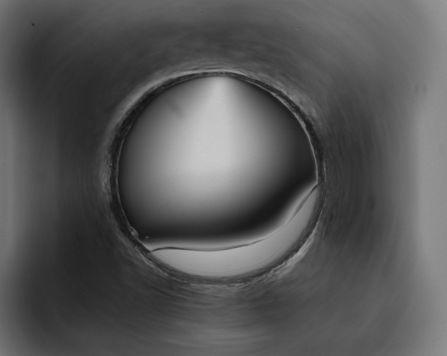 X0000093131502200710101049