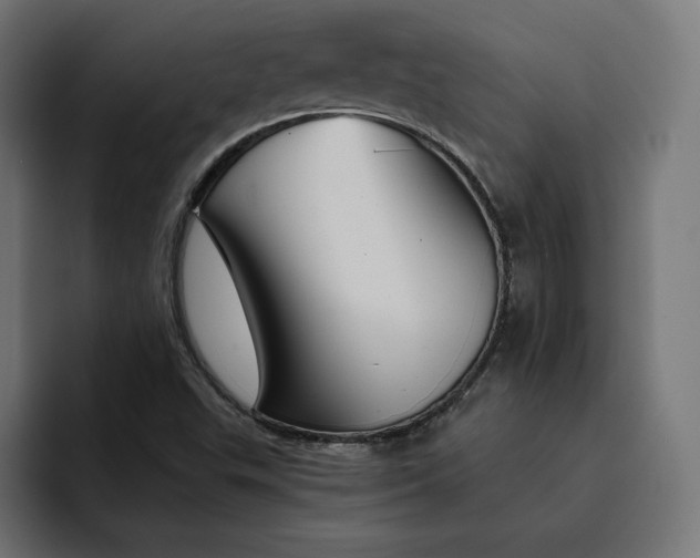 X0000093131503200710101049