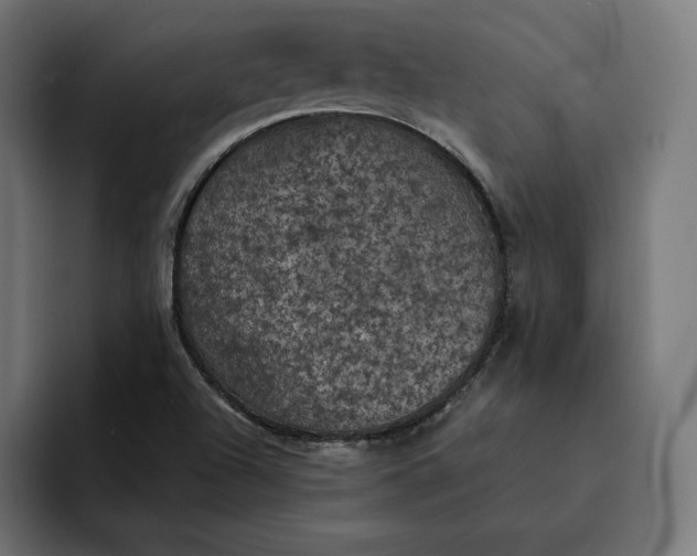 X0000093131504200710101049