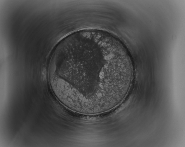 X0000093131505200710101049