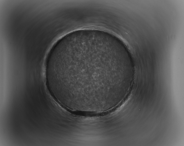 X0000093131506200710101049