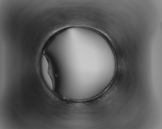 X0000093131507200710101049