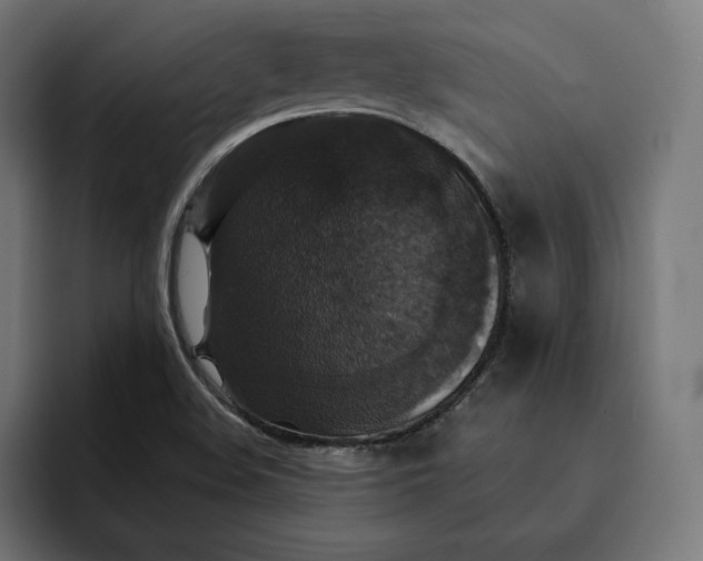 X0000093131508200710101049