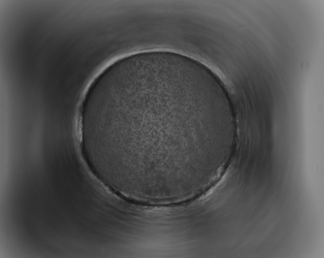 X0000093131510200710101049