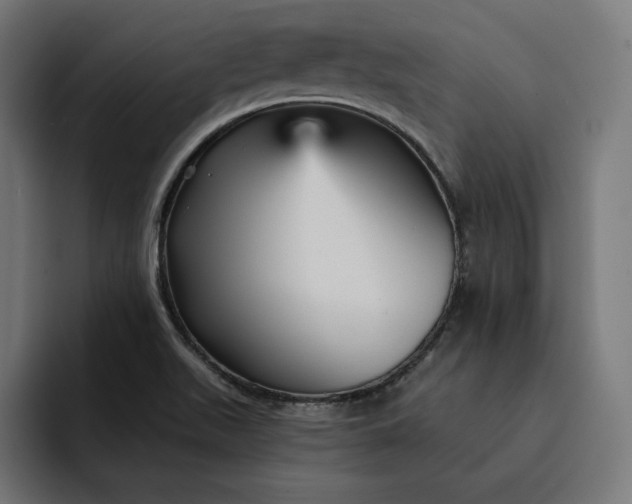 X0000093131511200710101049