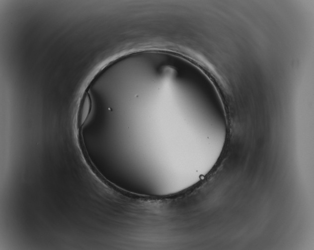 X0000093131512200710101049