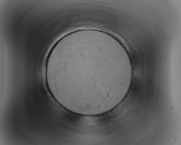 X0000093131514200710101049