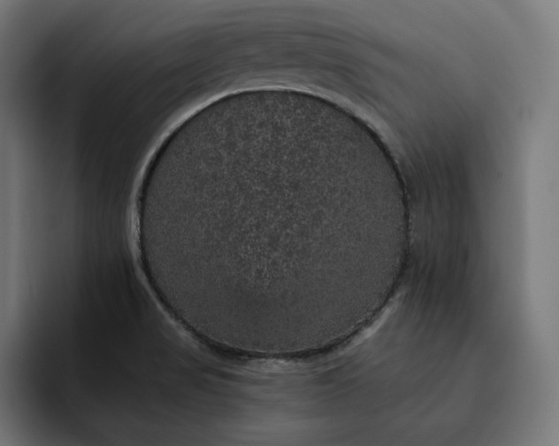 X0000093131517200710101049