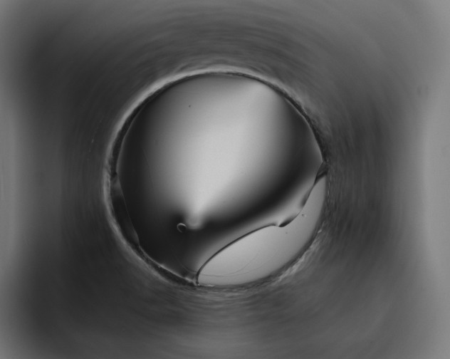 X0000093131518200710101049