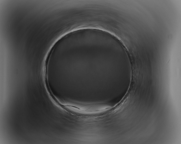 X0000093131519200710101049