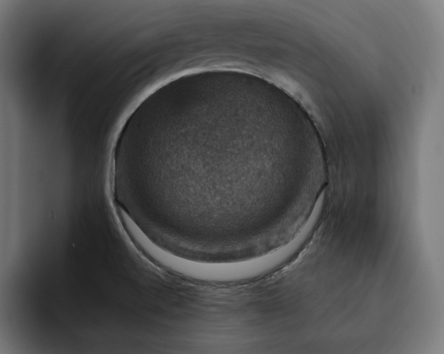 X0000093131520200710101049