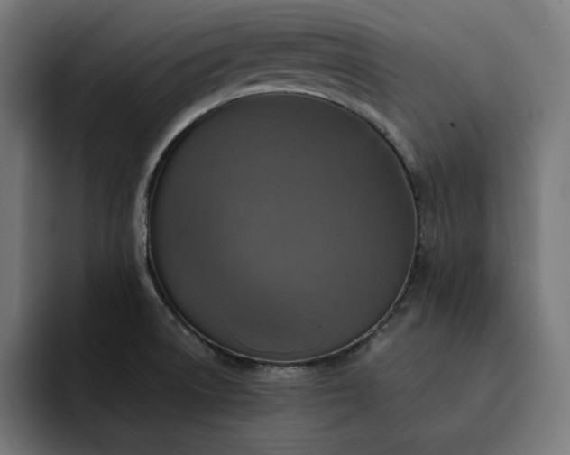 X0000093131522200710101049