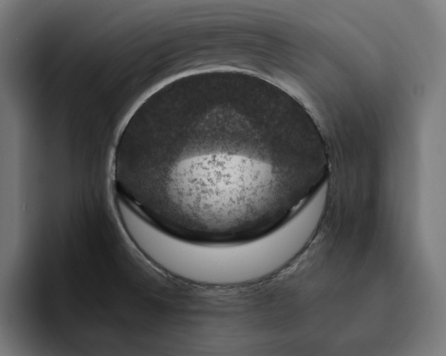 X0000093131524200710101049