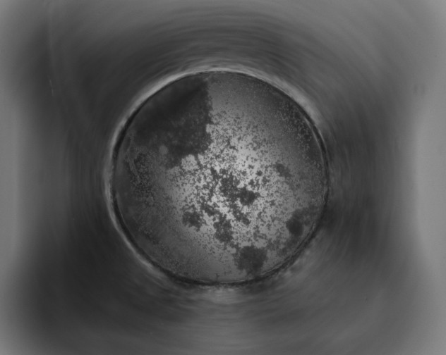 X0000093131525200710101049