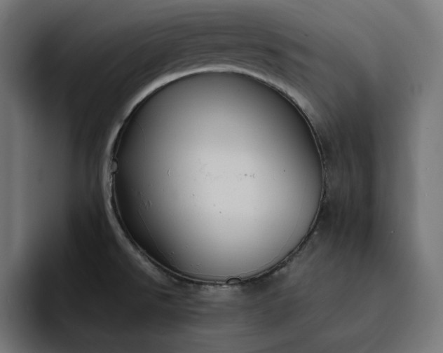 X0000093131526200710101049