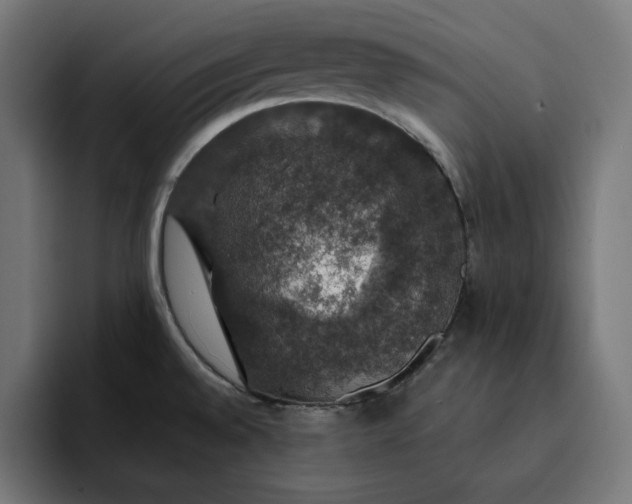 X0000093131528200710101049