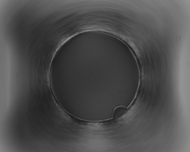 X0000093131529200710101049