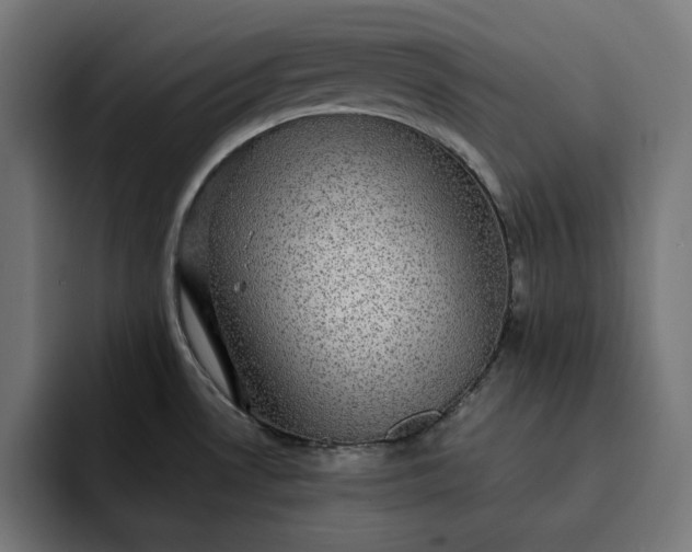 X0000093131530200710101049