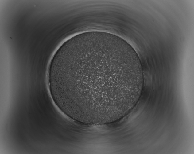 X0000093131531200710101050