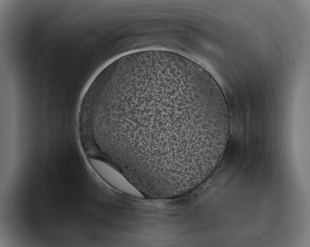 X0000093131532200710101050