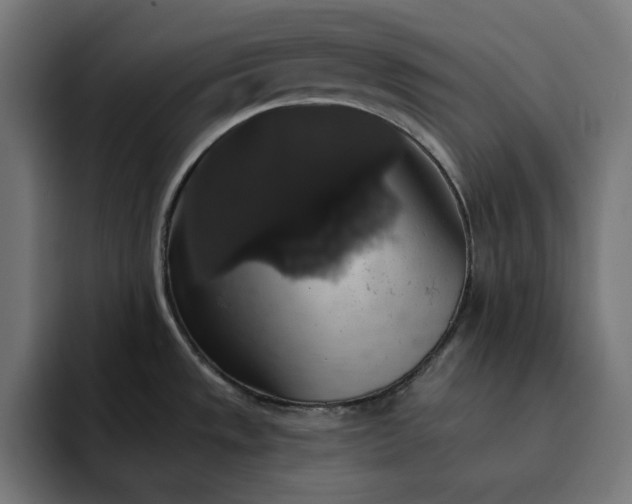 X0000093131533200710101050