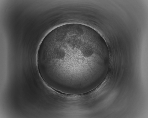 X0000093131535200710101050