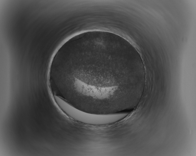 X0000093131536200710101050