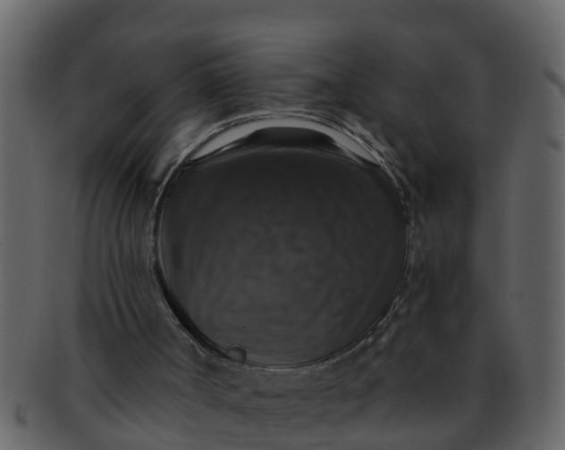 X0000093130002200710171317