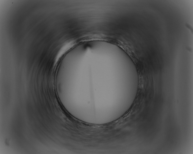X0000093130004200710171317