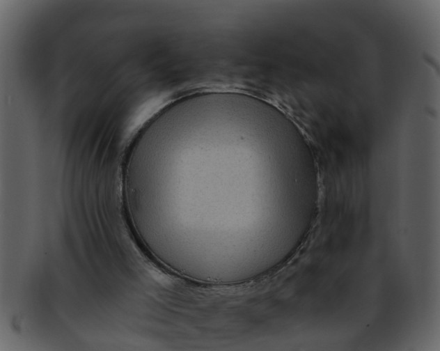 X0000093130005200710171317