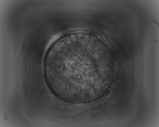 X0000093130006200710171317