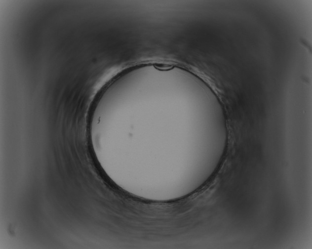 X0000093130008200710171317