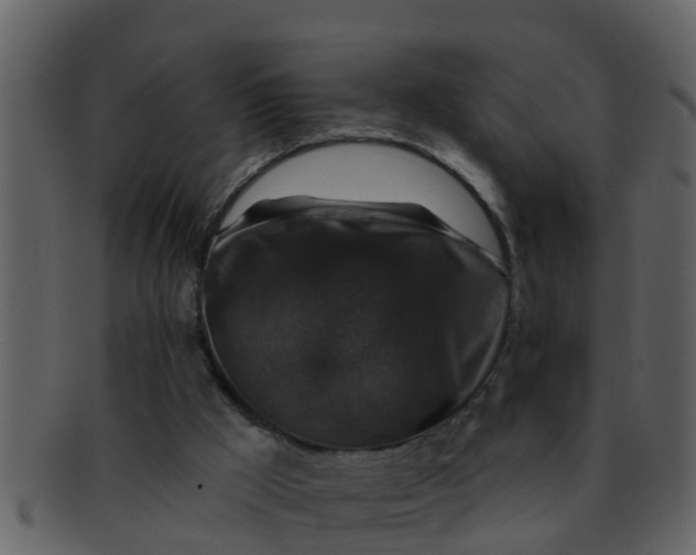 X0000093130009200710171317