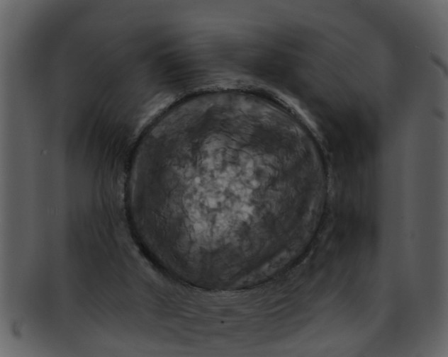 X0000093130010200710171317