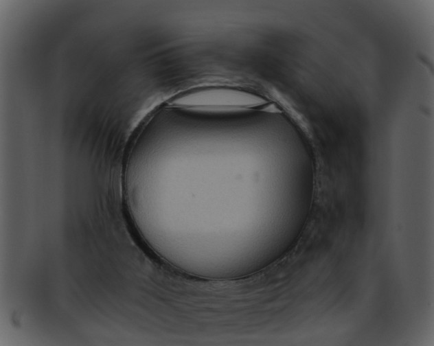 X0000093130011200710171317