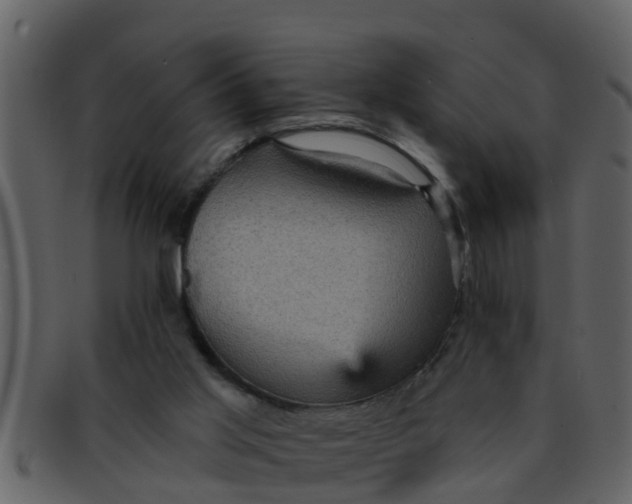 X0000093130013200710171317