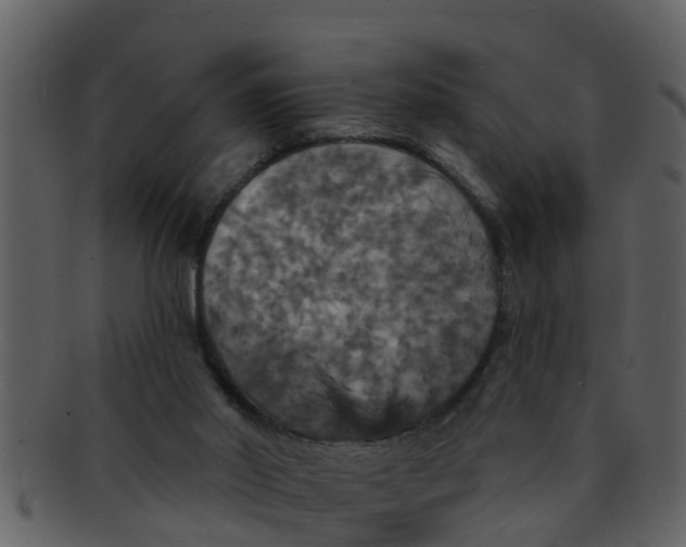 X0000093130014200710171317