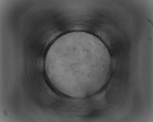 X0000093130016200710171317