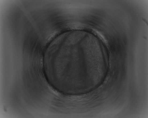 X0000093130017200710171317